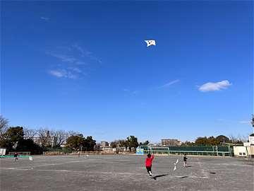 青空に上がったたこの写真