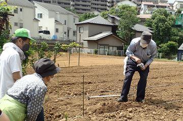 種まきをやって見せている写真