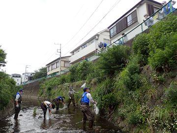 川で作業する人たちと道路から見下ろす人たちの写真