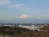 円海山付近から見た富士山