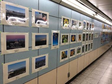 上大岡駅展示のようす2