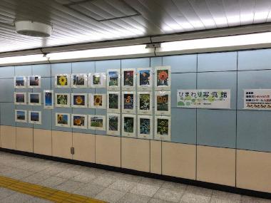 上大岡駅展示のようす