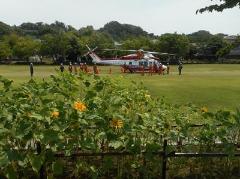 日野中央公園