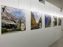地下鉄上大岡駅地下通路展示写真