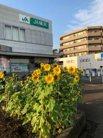 上永谷駅前2の写真