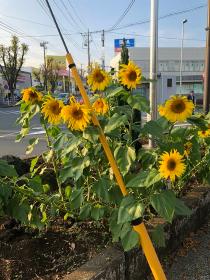 上永谷駅前3の写真