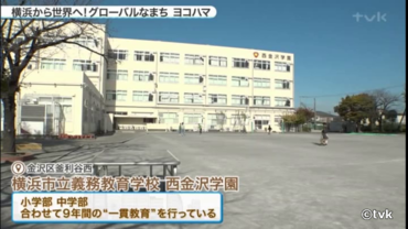 実際の動画画像