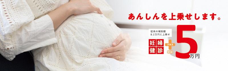 妊婦健診費用助成金バナー