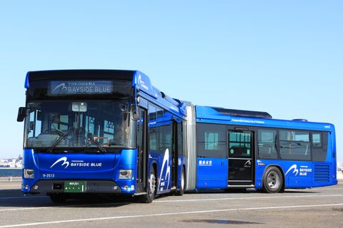 ベイサイドブルーの画像