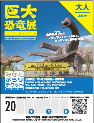 特別デザインチケット