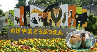 野毛山動物園の画像です。