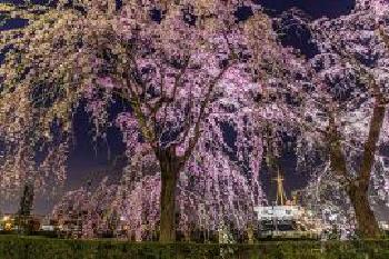 山下公園　歴史を見守る