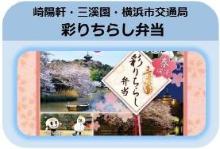 崎陽軒×三溪園×横浜市交通コラボ「春爛漫　三溪園　彩りちらし弁当