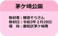 市営交通沿線の桜情報