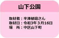 市営交通沿線の桜情報