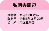 市営交通沿線の桜情報