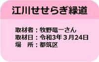 市営交通沿線の桜情報
