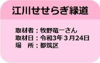 市営交通沿線の桜情報