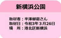 市営交通沿線の桜情報