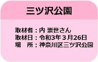 市営交通沿線の桜情報