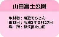 市営交通沿線の桜情報