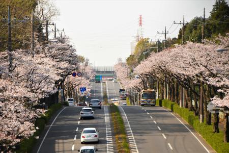 (修正）環状４号線14