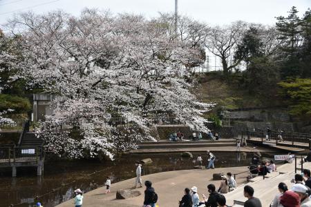 岸根公園4