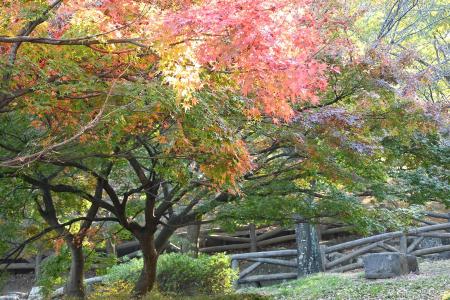 岸根公園9