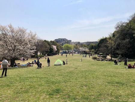 山田富士公園