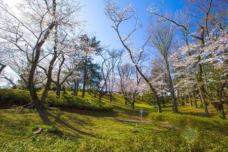 三ツ沢公園