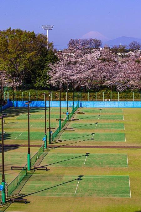 三ツ沢公園