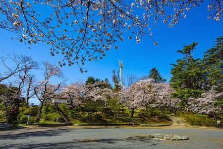 三ツ沢公園