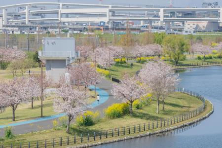 新横浜公園