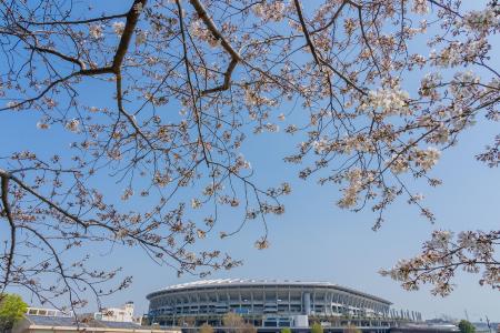 新横浜公園