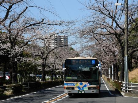 若葉台近隣公園前バス停付近