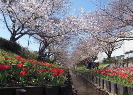 江川せせらぎ緑道