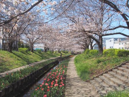 江川せせらぎ緑道