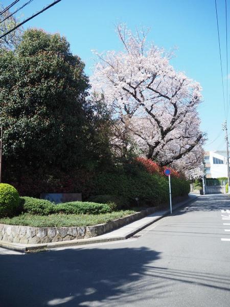 日吉の丘公園