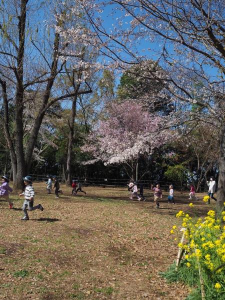 日吉の丘公園