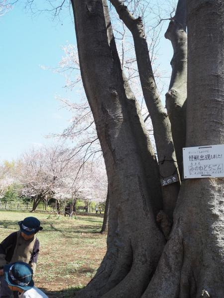 日吉の丘公園