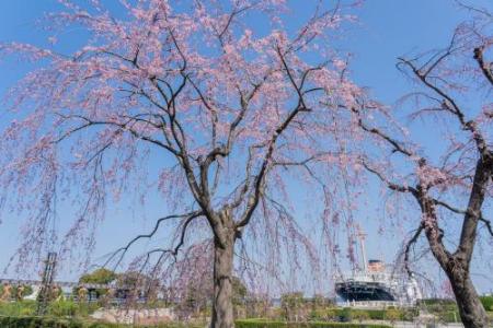 山下公園