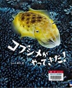 『コブシメがやってきた!』の表示画像