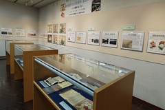 園芸展示