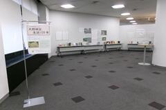 大野林火展示