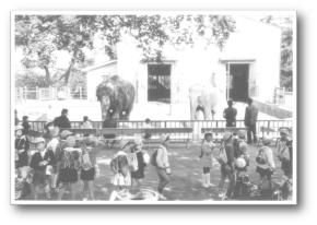 「野毛山動物園」