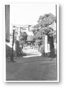 「鶴見神社」