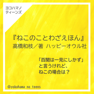 本の紹介文