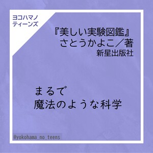 本の紹介文