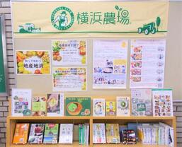 令和6年11月のテーマ展示の写真　2枚目
