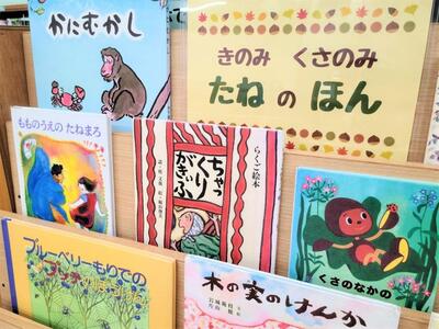 令和6年11月のテーマ展示（子ども向け）の写真　2枚目
